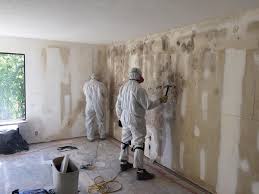 Best Mold Remediation for Rental Properties  in USA